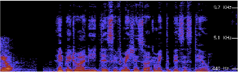 Spectrogram Analysis of Deepfake Audio