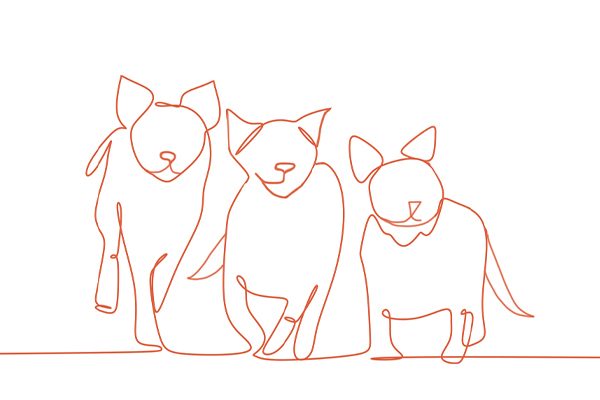 The Dogpile